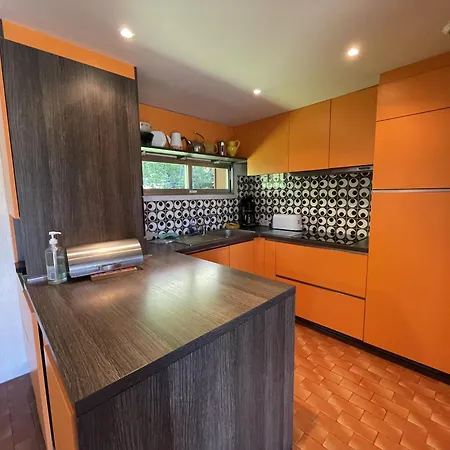 Les Digitales - Rocher Du Cerf Chalet Le Lioran