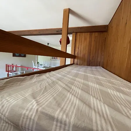 Les Digitales - Rocher Du Cerf