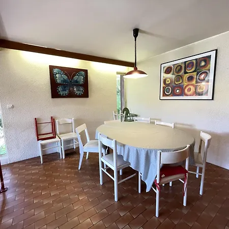 Les Digitales - Rocher Du Cerf Chalet Le Lioran