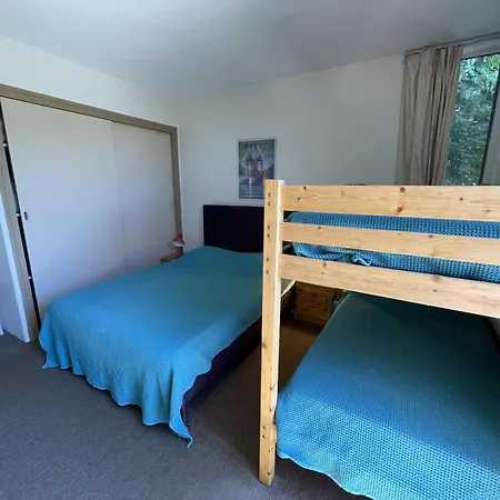 Les Digitales - Rocher Du Cerf *