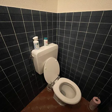 Les Digitales - Rocher Du Cerf * Le Lioran