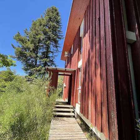 Les Digitales - Rocher Du Cerf Le Lioran